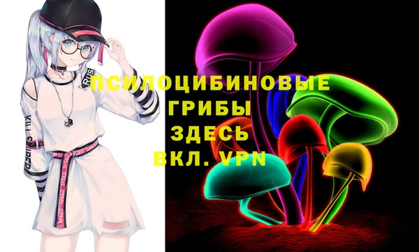 МДМА Заволжск